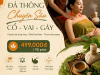 Đả thông Cổ Vai Gáy
