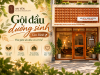 Gội đầu dưỡng sinh Tân Bình – Thư giãn da đầu và cơ thể